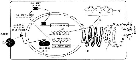 PG电子