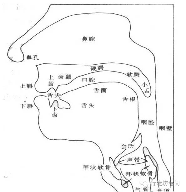 PG电子游戏