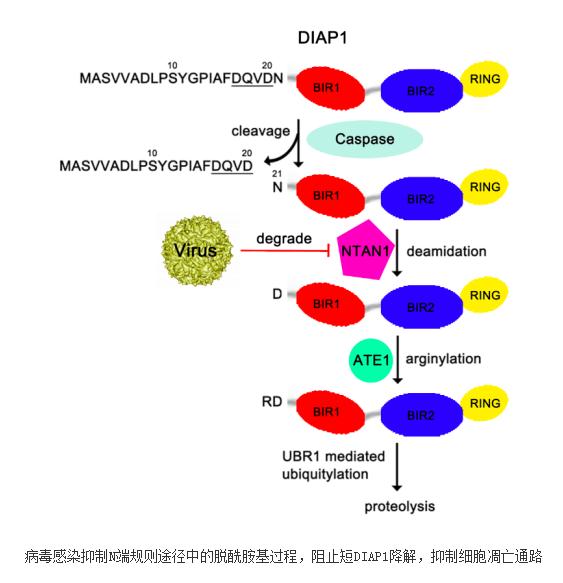 PG电子游戏