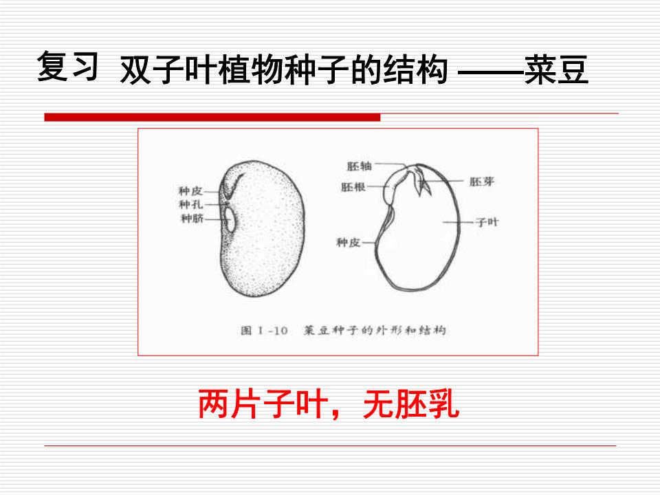 PG电子游戏