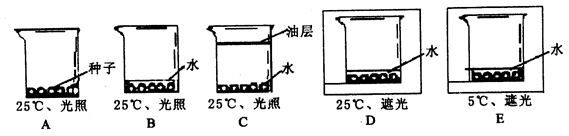 PG电子游戏